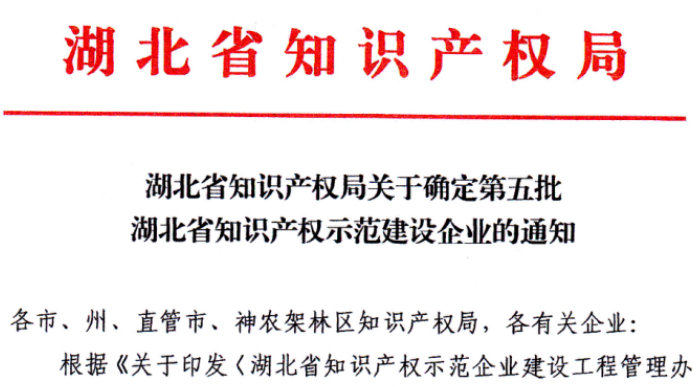入選湖北省知識產(chǎn)權示范企業(yè)建設工程